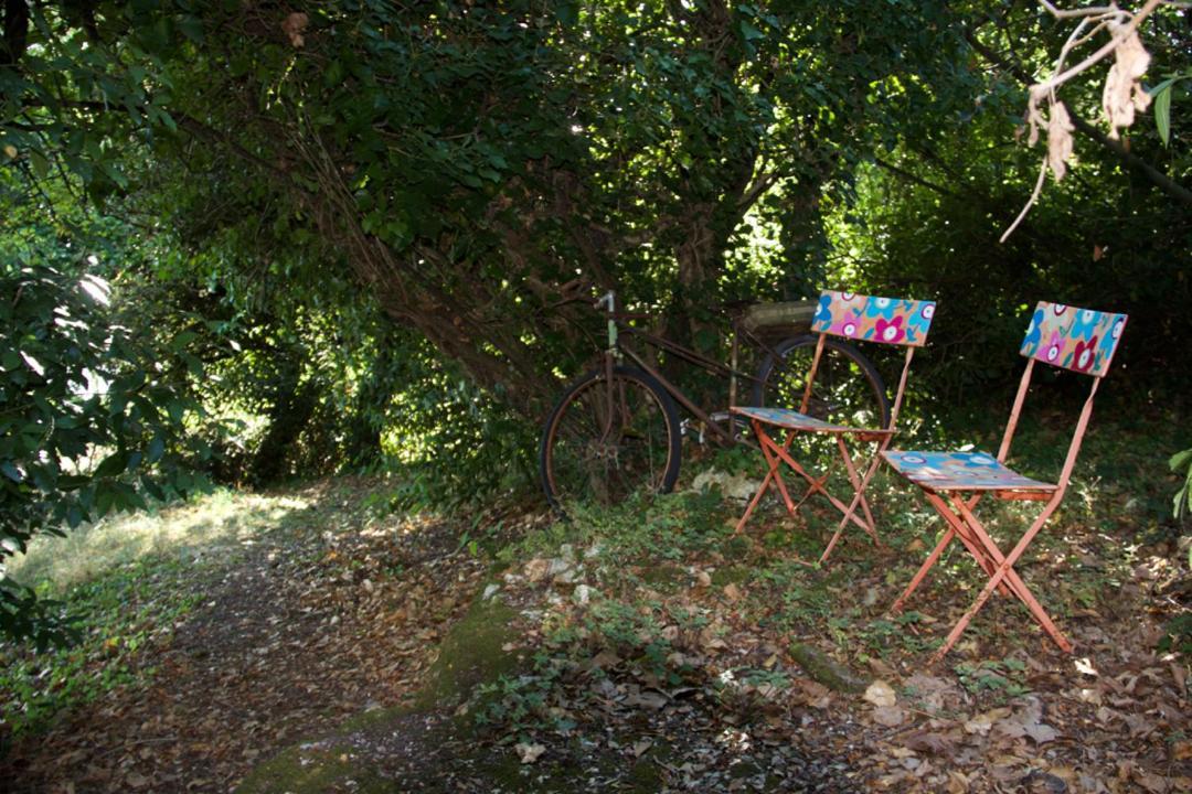 La Charentine Bed & Breakfast Echillais Bagian luar foto